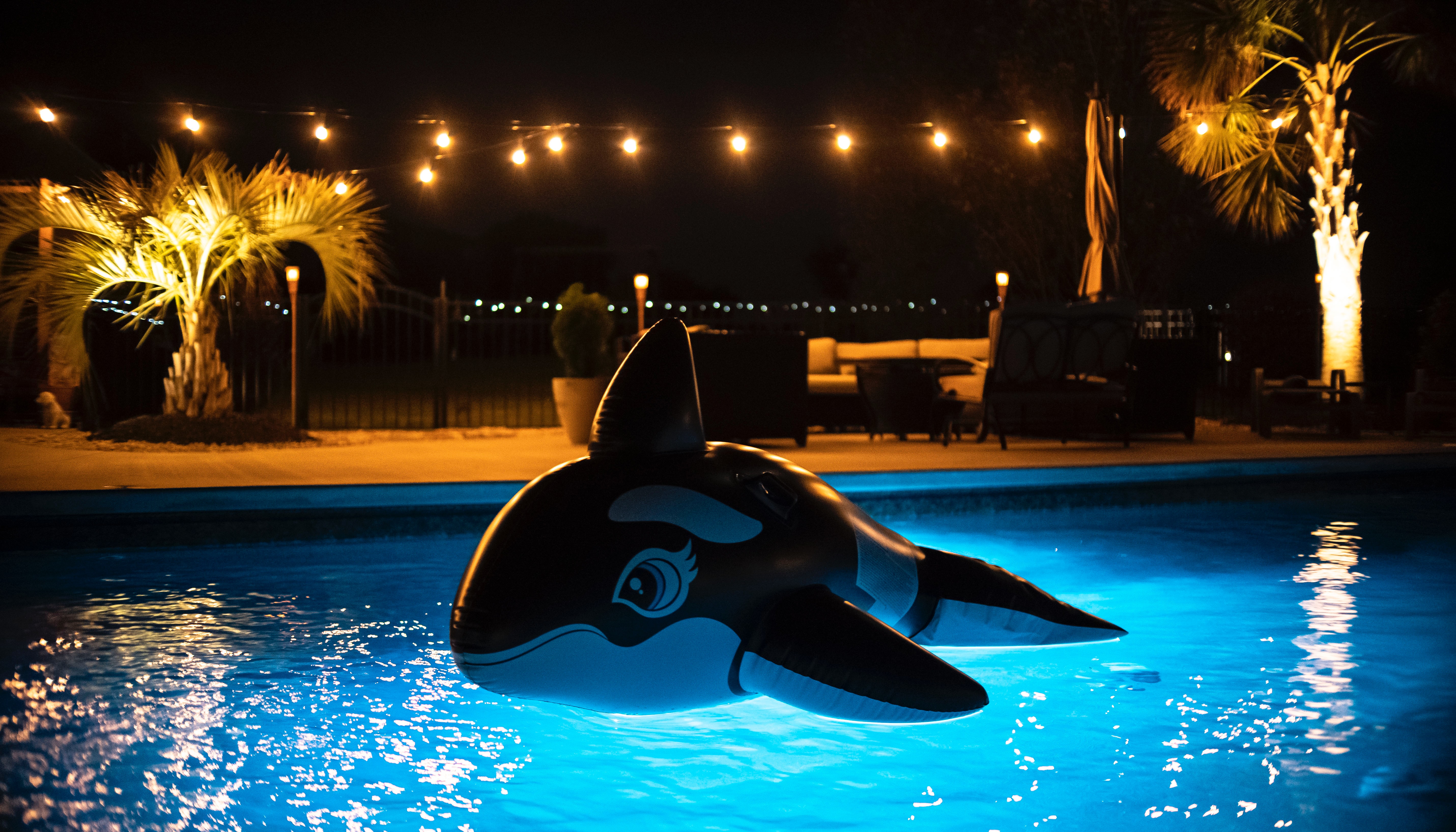 Docker + bash : Cette astuce peut vous faire gagner du temps ! ⏰